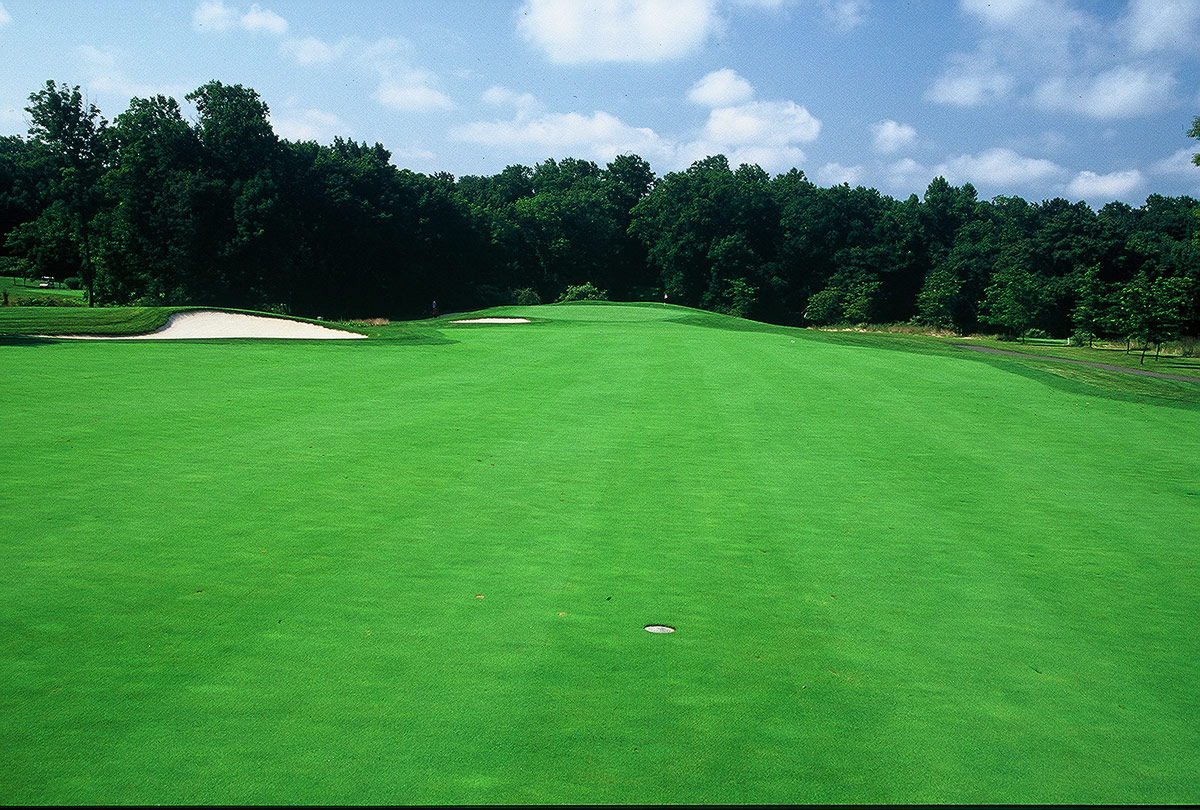 Hole 14